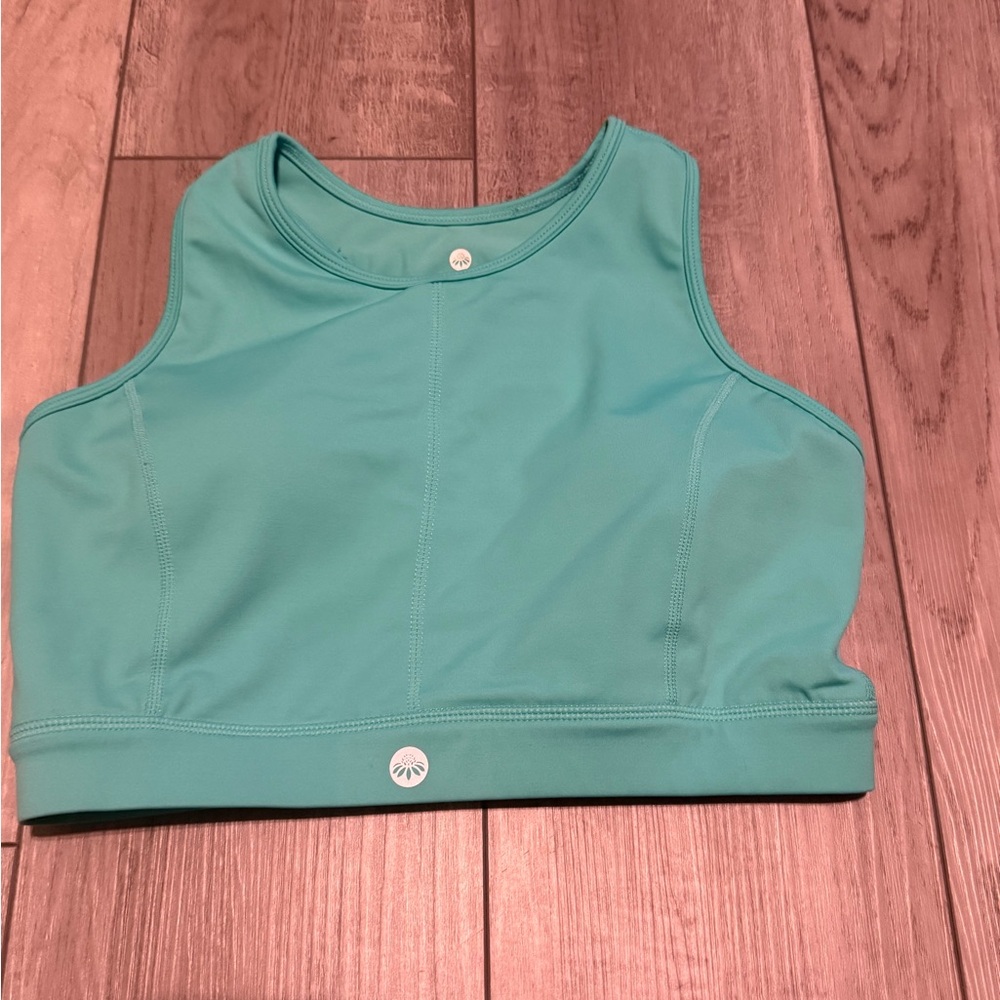 Senita Athletics Aqua Crop Bra VGUC